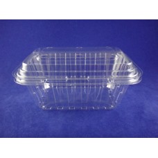 F-1000 Clear Hinged Container